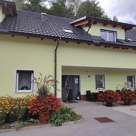 Apartments And Wellness Jelovca Radovljica Exterior photo